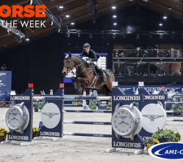 Horse of the week: Šamorín