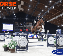 Horse of the week: Šamorín