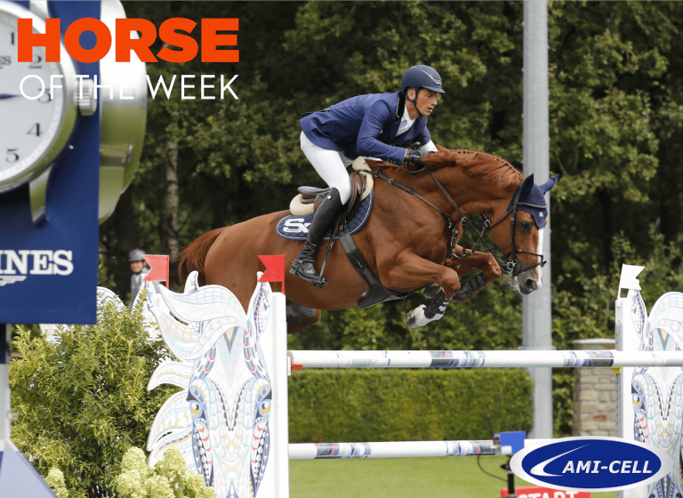 Horse of the week: Valkenswaard